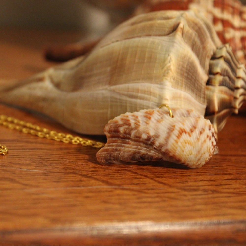 Elegant Gold Shell Pendant Necklace